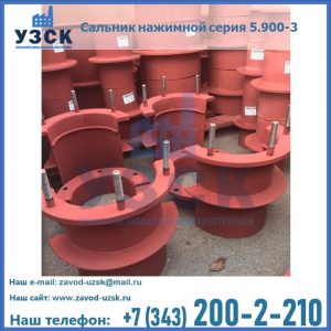 Сальники нажимные серия 5.900-3 в Набережных Челнах