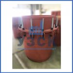 Купить сальниковые компенсаторы Ду 1000, Ду 700, Ду 800, Ду 600, Ду 500, Ру 25 в Набережных Челнах